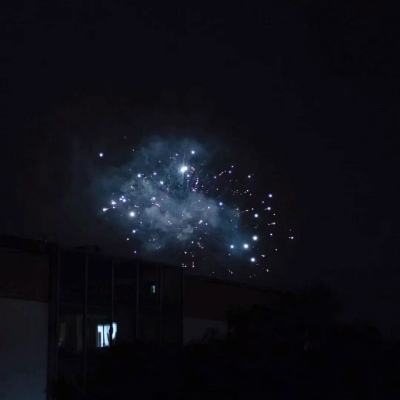 梦幻比卡丘手游下载